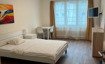Private Room in Serviced Apartment in Brugg, Switzerland
